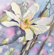 Akwarela 21x21 - "Magnolii czar"