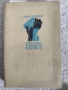 Książka: "Chłopiec z salskich stepów" - Igor Newerly