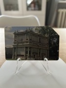 GOŁĄB - ZOBACZ POZOSTAŁE