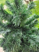 Choineczka sztuczna 30cm