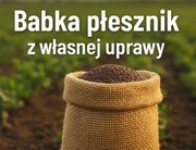 Bapka płesznik opakowanie 2kg wysyłka Inpost