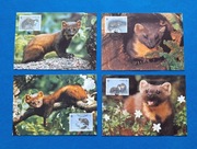 Zestaw 4 szt. widokówka widokówki WWF Irlandia kuna leśna