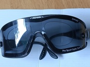 Okulary przeciwsłoneczne Alpina Ceramic 