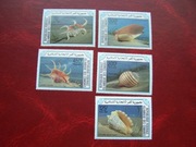 Komory 1985 MNH Mi. 746/50 Fauna Muszle Ślimaki