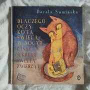 Dlaczego oczy kota świecą w nocy? Dorota Sumińska