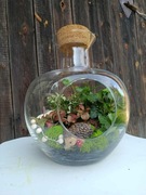 Urocza kompozycja jesienna - las w szkle 