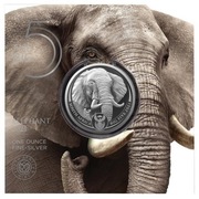 1 uncja srebra - Big Five II Elephant 2021