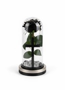 Znicz Wieczna Róża Solarna Czarna