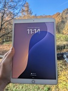 IPad Air Rose Gold Różowy 64GB