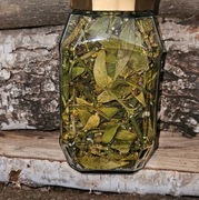 Jemioła suszona 50g ziele jemioły