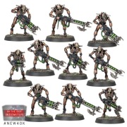 Warhamer 40000 Indomitus Necron Warriors 