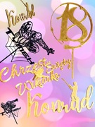 Topper Toper na tort, Jedno słowo lub Cyfry, wbijane od góry lub boku. PLA!