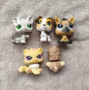 LPS littlest pet shop kot pies świnka morska pers Jack Russell terrier 