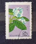Magnolia Siebolda. Korea Północna 1965 r