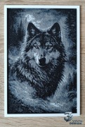 Obraz dekoracyjny Wilk w nocnym lesie A5 – grafika czarno-biała 3D druk