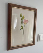 Obraz z róża w drewnianej ramie