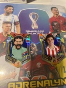 Włosom i alwarezaury