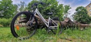 Rower trekkingowy Wheeler Trekking GO