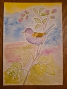 Obraz akwarela ptak ręcznie malowany P. Paszkiewicz