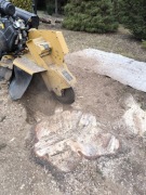 Usługa frezowanie pni usuwanie pni drzew usuwanie karp