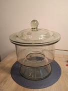 Naczynie szklane eksykator zamknięty ogród las