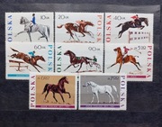 Fi 1592-1599. Jeździectwo.