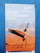 Pojezierze Łęczyńsko Włodawskie mapa 