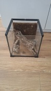 Terrarium Reptiplanet 30x30x30