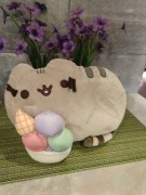 Pusheen z lodami 
