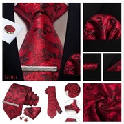 Zestaw Elegancki Krawat + Poszetka + Spinki + Spinka do krawata M17