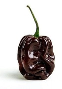 Kolekcjonerskie Nasiona papryki Habanero Czekolado