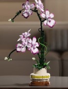 Klocki konstrukcyjne storczyk Cymbidium 696 el. | kwiat dekoracyjny DIY 