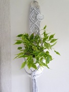 Kwietnik makrama (boho) - naścienny (brzoza)