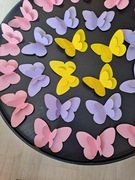 motyle przestrzenne w różnych kolorach