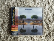 Japan CD - BRUCE DICKINSON - Skunkworks - VICP-5674 ( Iron Maiden )