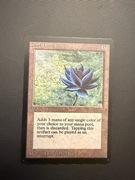 [MTG] [PROXY] Black Lotus