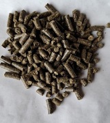 Hyzop lekarski  ziele 2kg