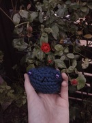 Żabka amigurumi 