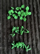 LEGO rośliny - 3 rodzaje