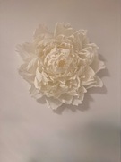 Kwiaty giganty z krepiny 