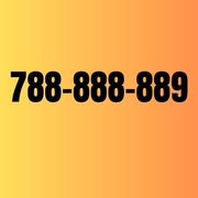 Złoty numer, platynowy, wyjątkowy, możliwa faktura VAT 