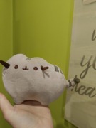 Pusheen klasyczny mały 