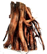 KORZEŃ AMAZONIA 149A   30/18/30