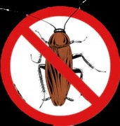 Odrobaczanie domow i gospodarstw