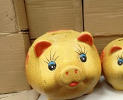 Złota swinka skarbonka 