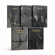 Teoria literatury / de Man, Kayser / Ironia, Alegoria, Groteska / 5 książek