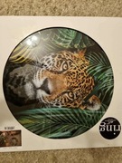 Szklany obraz dżungla tygrys