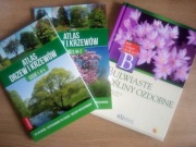 Bulwiaste rośliny ozdobne + atlasy drzew i krzewów 