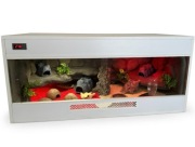 Mam na sprzedaż terraium 120x50x50