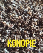 Konopie CHILLI wędkarskie gotowe 1kg gotowane konopia chilli